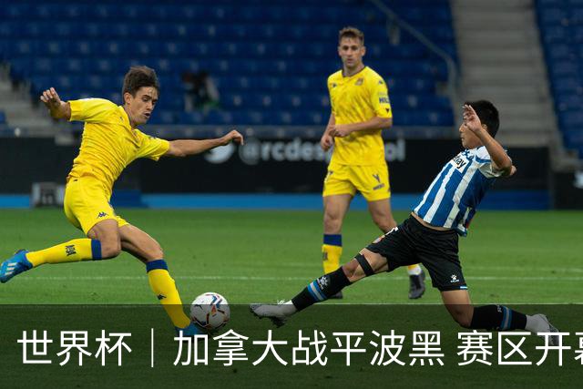 世界杯｜加拿大战平波黑 赛区开幕式表演“翻车”