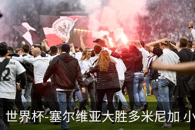 世界杯-塞尔维亚大胜多米尼加 小组第二进八强