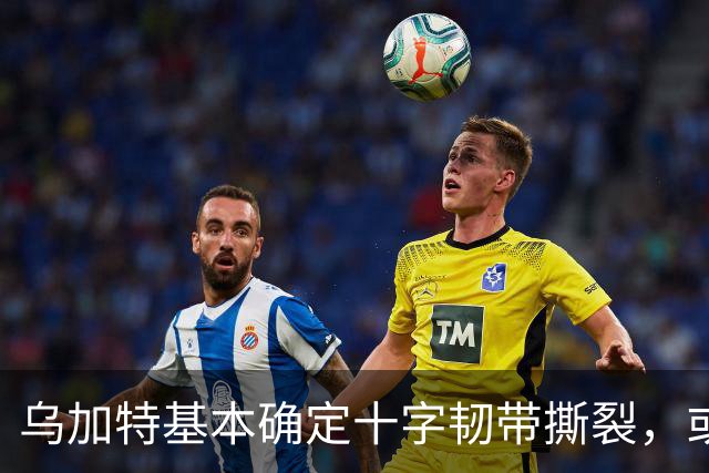 乌加特基本确定十字韧带撕裂，或迫使曼联买人！若伤缺一年可获赔500万